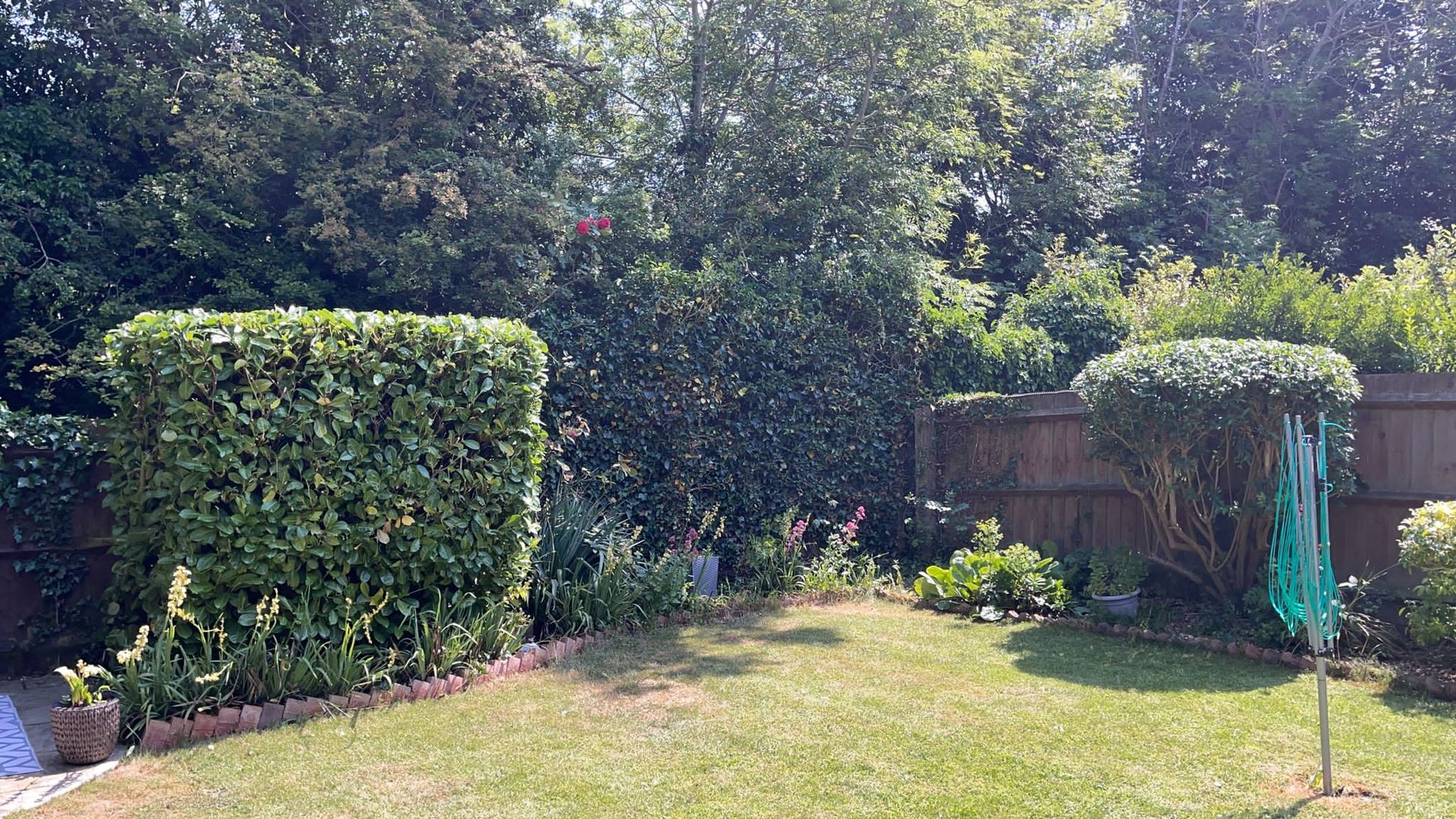 Soft Landscaping